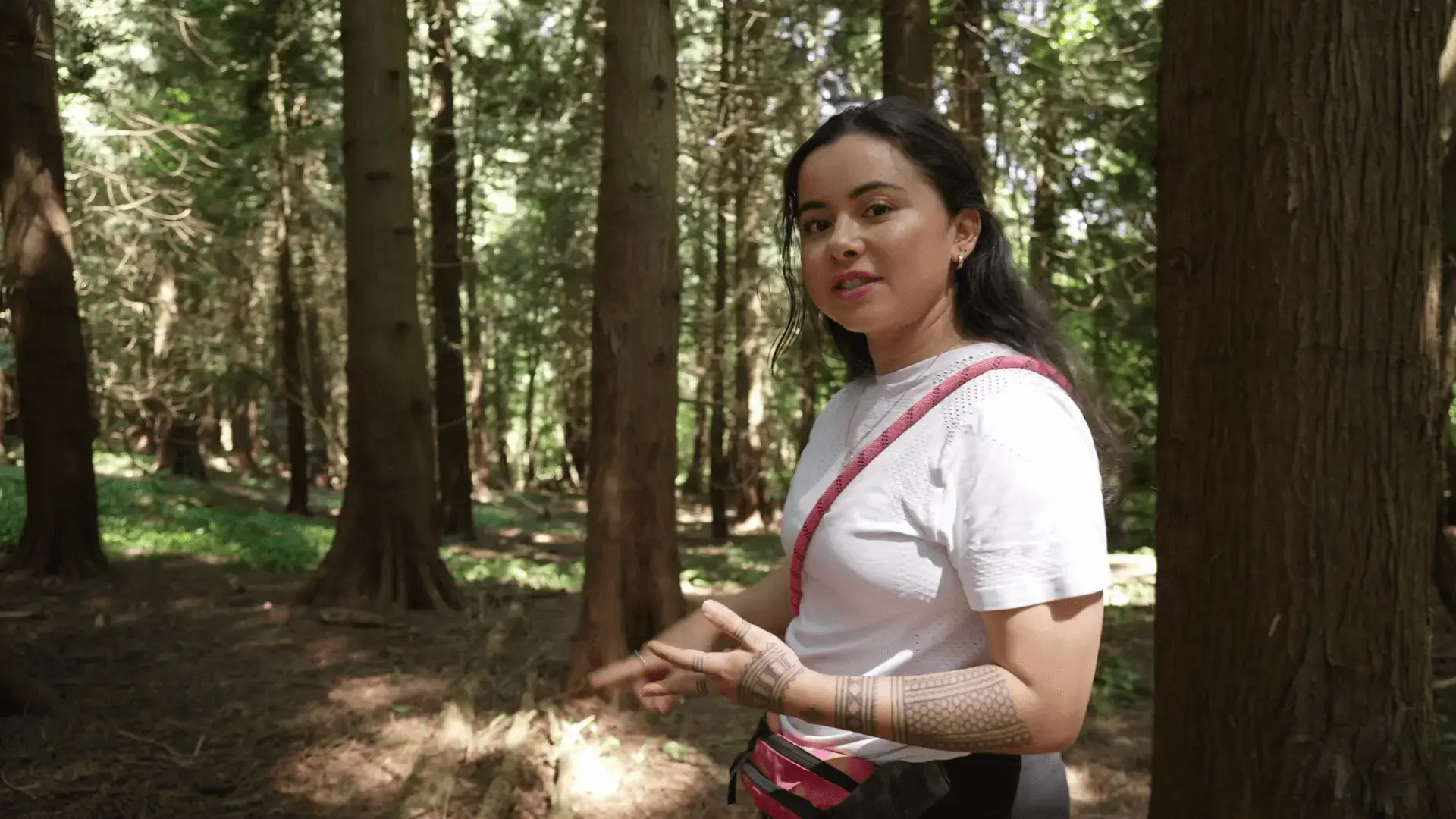 Can we include inheritance, gifts or future assets?