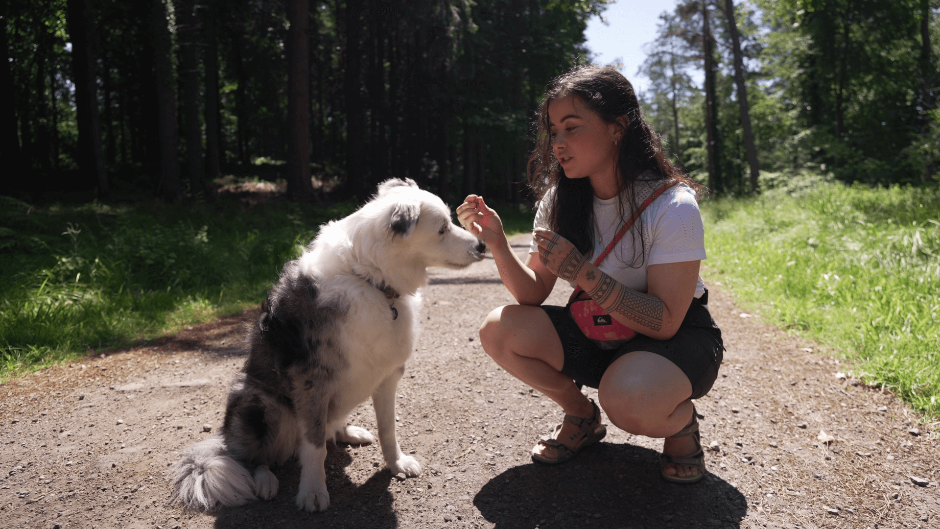 Who sees the agreement, and how do we sign it?